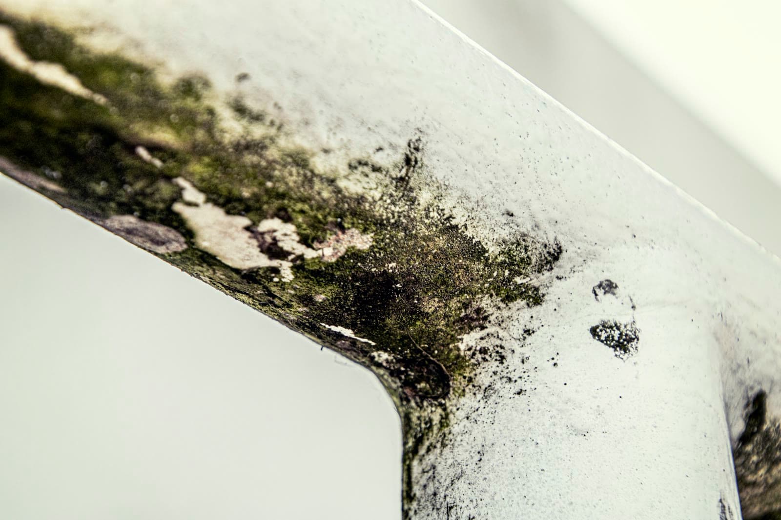 Black mould growing in the corner of a window frame
